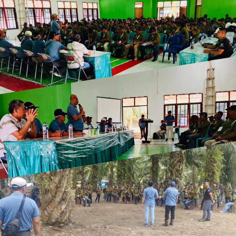 Ratusan Petani Plasma PT KLS Ikuti Pelatihan Budidaya Kelapa Sawit, Dorong Peningkatan Ekonomi Petani