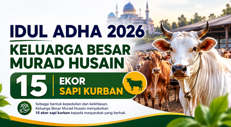Berita Idul Adha 2026, Keluarga Besar Murad Husain Salurkan 15 Ekor Sapi Kurban 